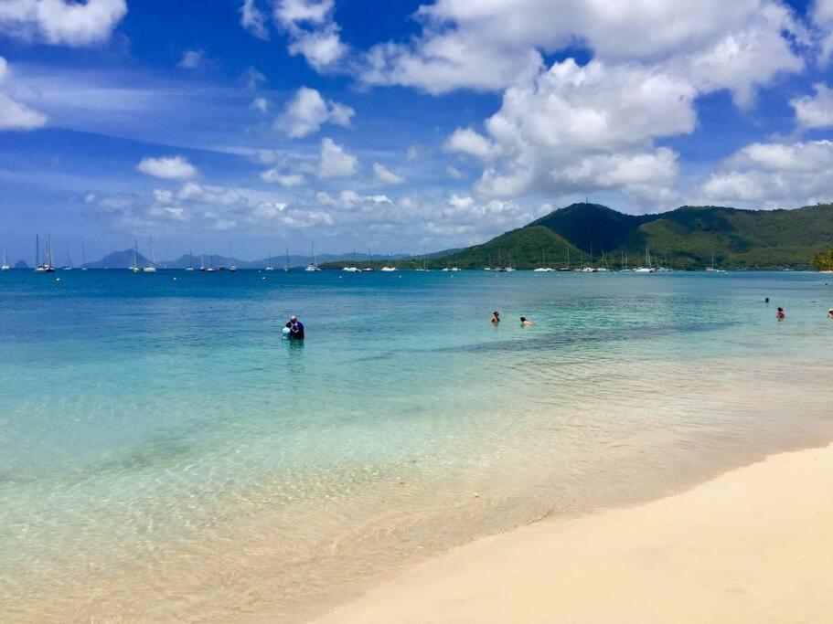 Hamo Cosy Piscine Proche Plage Sainte-Anne Eksteriør billede
